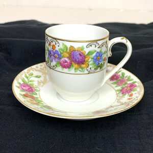 Rosenthal Selb-Bavaria ''The Dresden '' Tea Cup and Saucer with Floral Gold Trim